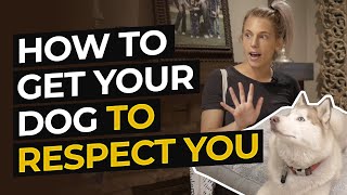 HOW TO GET YOUR DOG TO RESPECT YOU: THE IMPORTANCE OF STRUCTURE IN DOG TRAINING