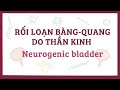 Bệnh rối loạn bàng-quang do thần kinh - nguyên nhân, triệu chứng, chẩn đoán, điều trị, bệnh lý