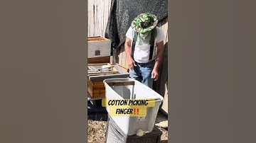 83yo Accepting #responsibility #honeybees #beesting #beekeeping #shortvideo @PawpawSammyAlyBug