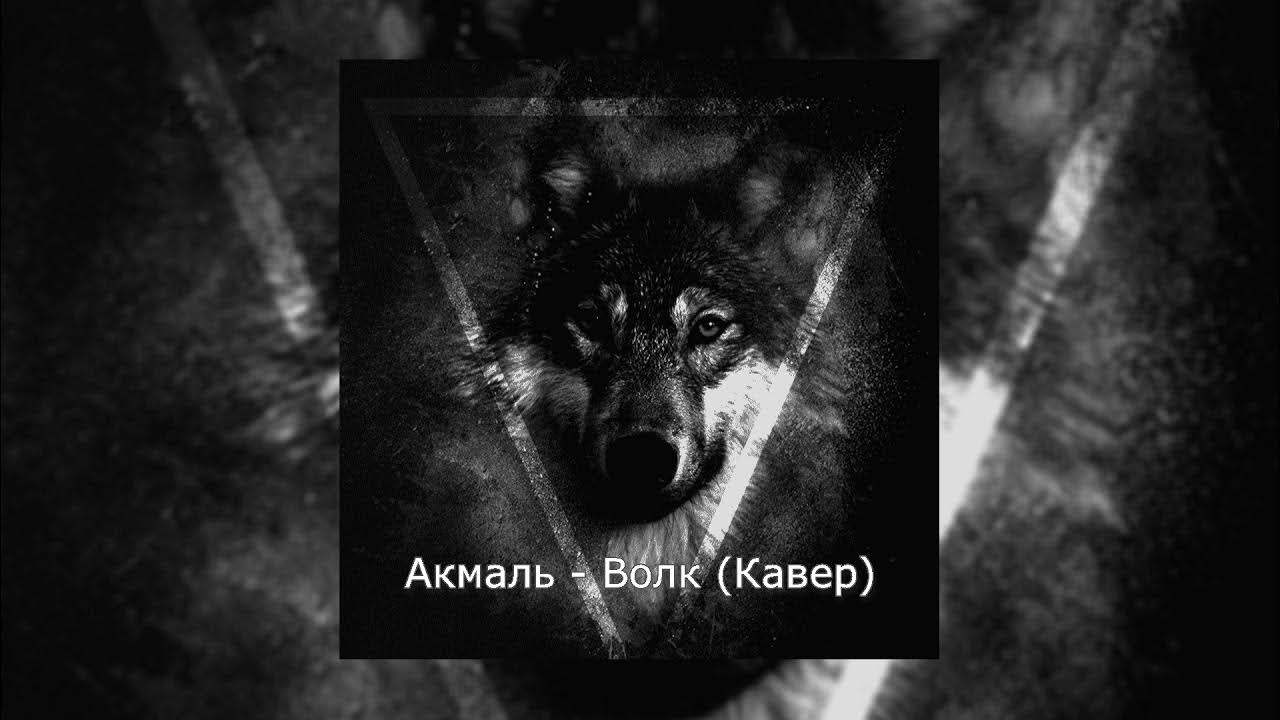 Между нами волки как будто залетают песня. Между нами волки как будто залетают песня. Между нами волки как будто залетают песня. Между нами волки как будто залетают песня. Между нами волки как будто залетают песня.
