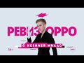 РЕВИЗОРРО С КСЕНИЕЙ МИЛАС | НОВЫЙ РЕВИЗОРРО