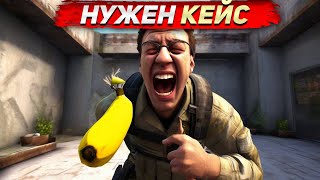 Нужен кейс любой ценой / Counter-strike 2 / CS2