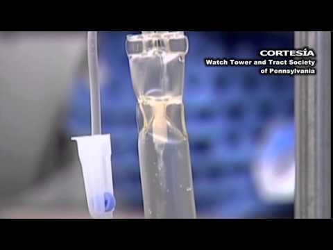 Gumercindo Jimenez: Menguak Strategi Marketing Digital Sang Maestro