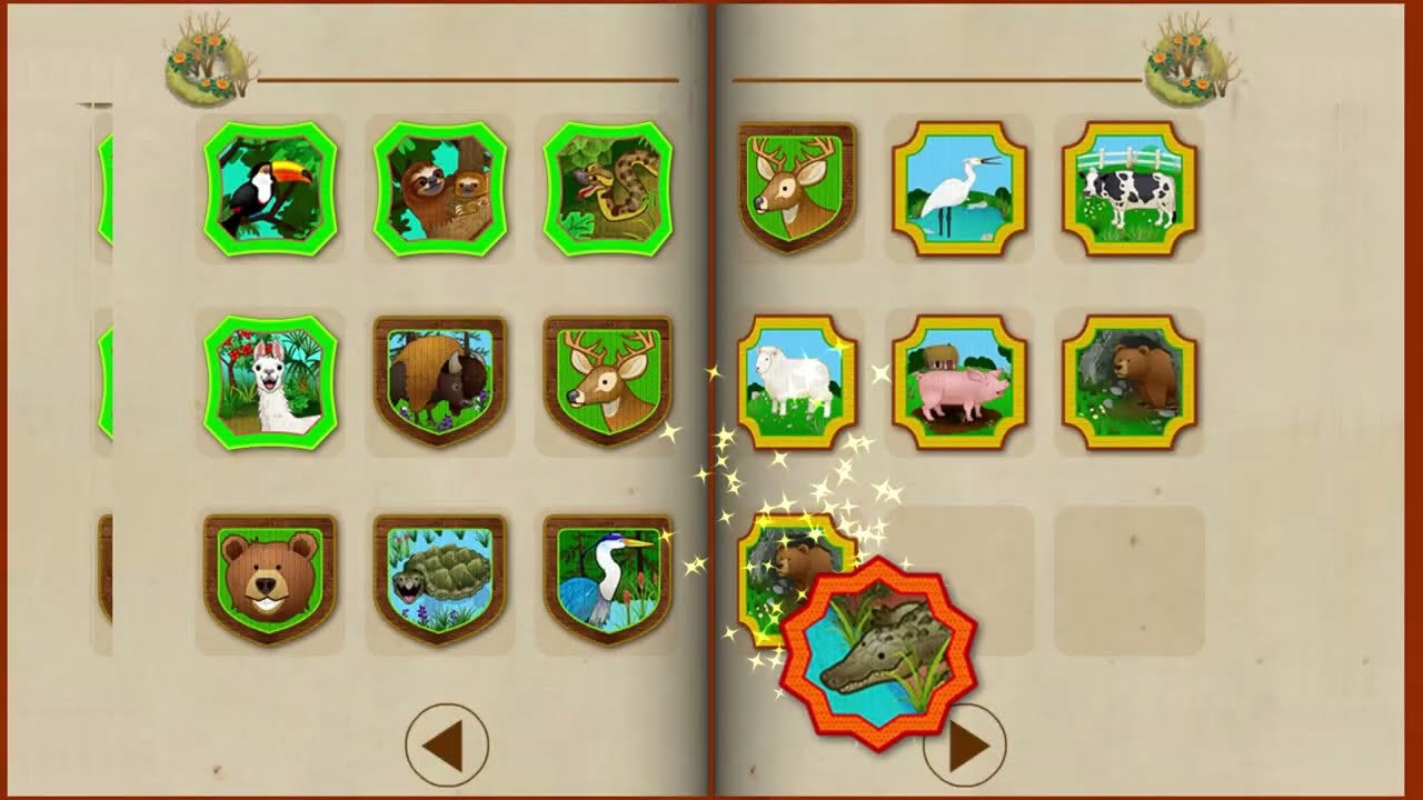 Monkey Preeschool Animals Australia Part 3