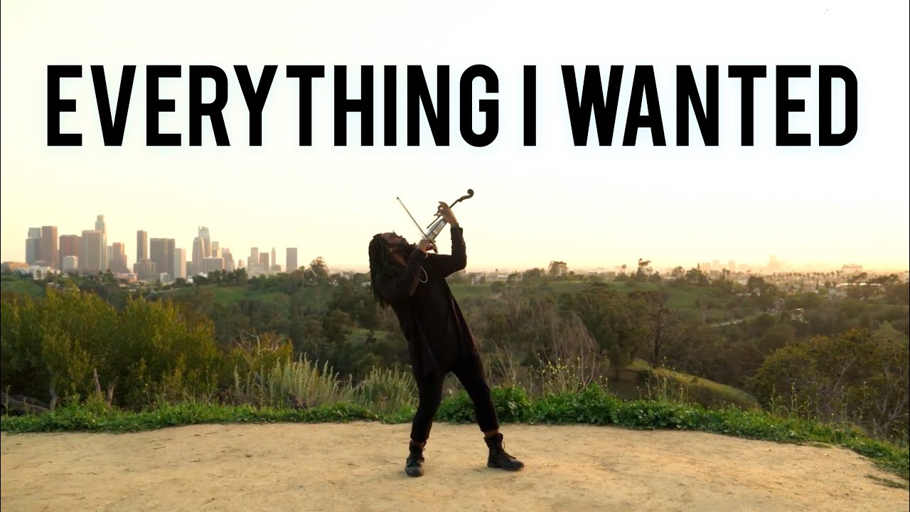 everything i wanted (VIOLIN REMIX) Billie Eilish | DSharp