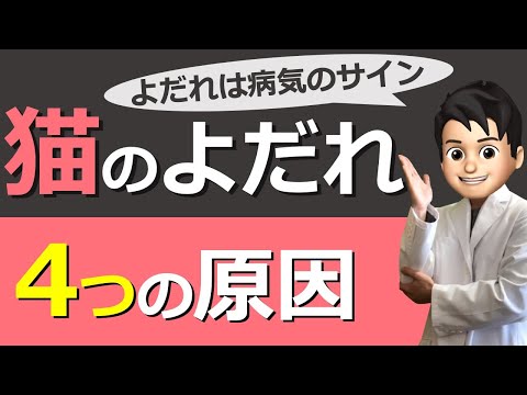 猫のよだれ、実は原因は2種類！リラックスとストレスの見分け方