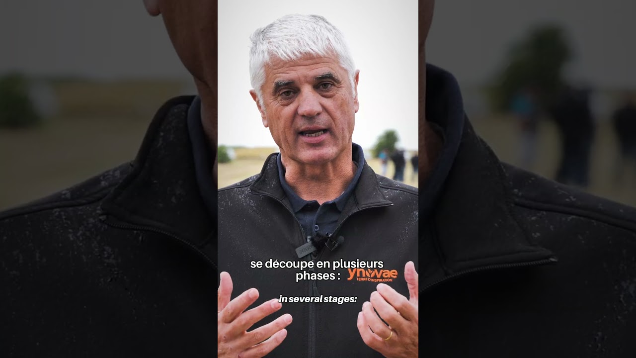 Le métier de Georges : garantir la qualité du pain, en commençant par le blé !