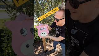 Adorable Pig Geocache! #geocaching #geocache