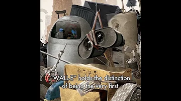 Did You Know This About WALL E Shorts 