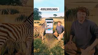 zebra subscribe kar sakta hai to aap kyon Nahin 😱😠#mrbeast