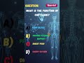 What Is the Function of Cartilage? 🦴 | Human Anatomy Quiz #shorts