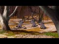 Хранитель Лев 3 Сезон Песня Джанджи Джазири и др На английском The Lion Guard 3 Season Song Хранитель Лев 3 Сезон Песня Джанджи Джазири и др На английском The Lion Guard 3 Season Song