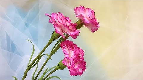 ABC TV | How To Make Carnation Paper Flower #1- Craft Tutorial