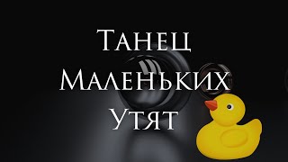 [Томас Вернер - Танец Маленьких Утят] Гитарный Кавер