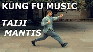 KUNG FU MUSIC - Taiji Mantis