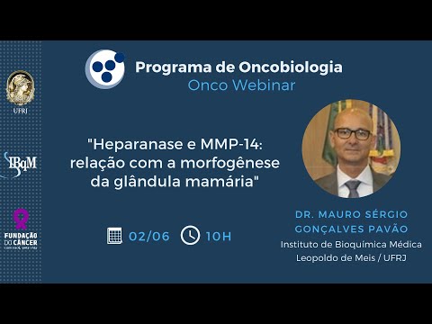 Onco Webinar - Prof. Mauro Pavão (IBqM/UFRJ)