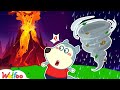 Wolfoo! Watch Out for Dangers When Natural Disasters Happen |Learn Kids Safety Tips |Wolfoo The Best