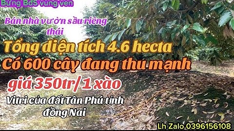 Bán nhà vườn trái cây sầu riêng thái doanh thu ổn định tâm huyết của gia đình Rất cần bán giá rẻ 