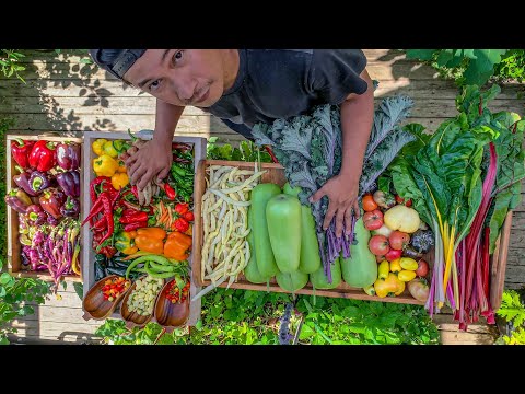 Don’t skip this if you love tomatoes and peppers! Sharing our September Bounty