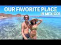 BEST OF MEXICO 🇲🇽 MULEGE 2021 (BAJA CALIFORNIA SUR)