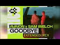 Goodbye thefgshow extended mix  avaion  sam welch