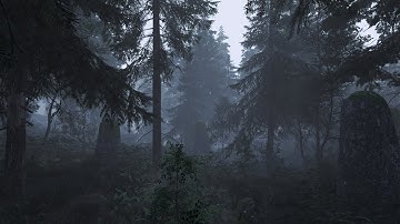 [4K] Skyrim SE 2025 Ultra modded Community Shaders with FinityShade