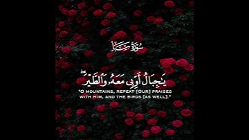 ولقد آتينا داوود منا فضلا يا جبال أوبي معه والطير وألنا له الحديد | سورة سبأ | القارئ ناصر القطامي