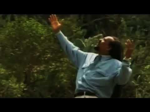 Mohammad Tawil Full Album