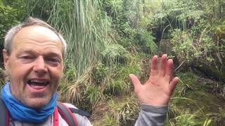 Ep 3 the 2nd - Noooo, a dead penguin, A personal Odyssey on Te Araroa Trail