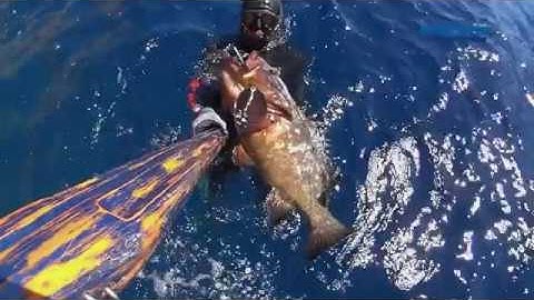 Spiros Marinis and el Greco 120 mediterranean hybrid