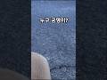 시골 뎅뎅이 궁뎅이와 꼬리 그리고 그림자 #강아지