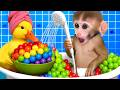 El mono DuDu  juega con unos adorables patitos y prepara un batido de frutas gigante Mp3 Song