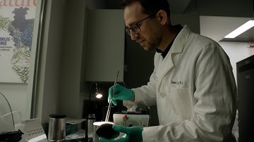 Dawid Zyla, Ph.D. | 2023 SPARK Finalist | Using Viruses to Monitor the Efficacy of the Immune System