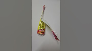 #slimjim #machoman #wwe #wcw #wwf #wrestling