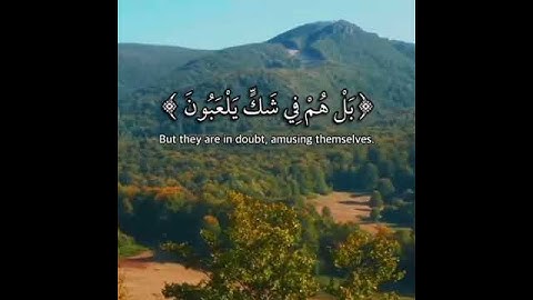 القارئ #عبدالله_الموسى