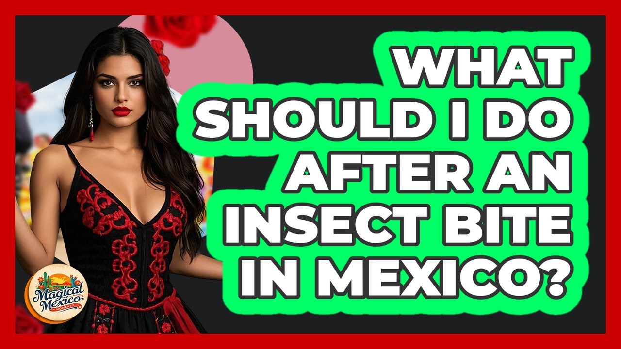 What Should I Do After An Insect Bite In Mexico?