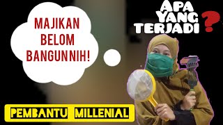 APA YANG DILAKUKAN PEMBANTU SAAT MAJIKAN BELUM BANGUN TIDUR !