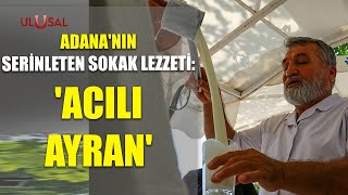 Adananın Serinleten Sokak Lezzeti Acılı Ayran