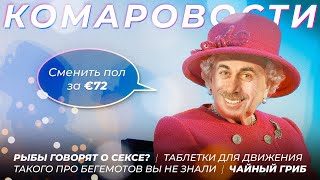 КОМАРОВОСТИ 11 февраля