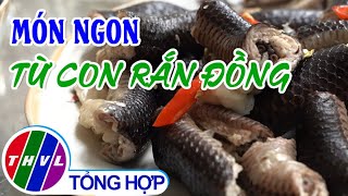 Tinh hoa bếp Việt: Ẩm thực đồng quê - Tập 18 | Món ngon từ con rắn đồng screenshot 1
