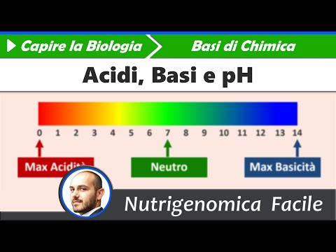 Video: Differenza Tra Acidità E Basicità