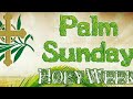Palm Sunday /Palm Sunday Whatsapp Video/Hosanna /Hosanna Status/Palm Sunday Wishes/Hosanna Quotes