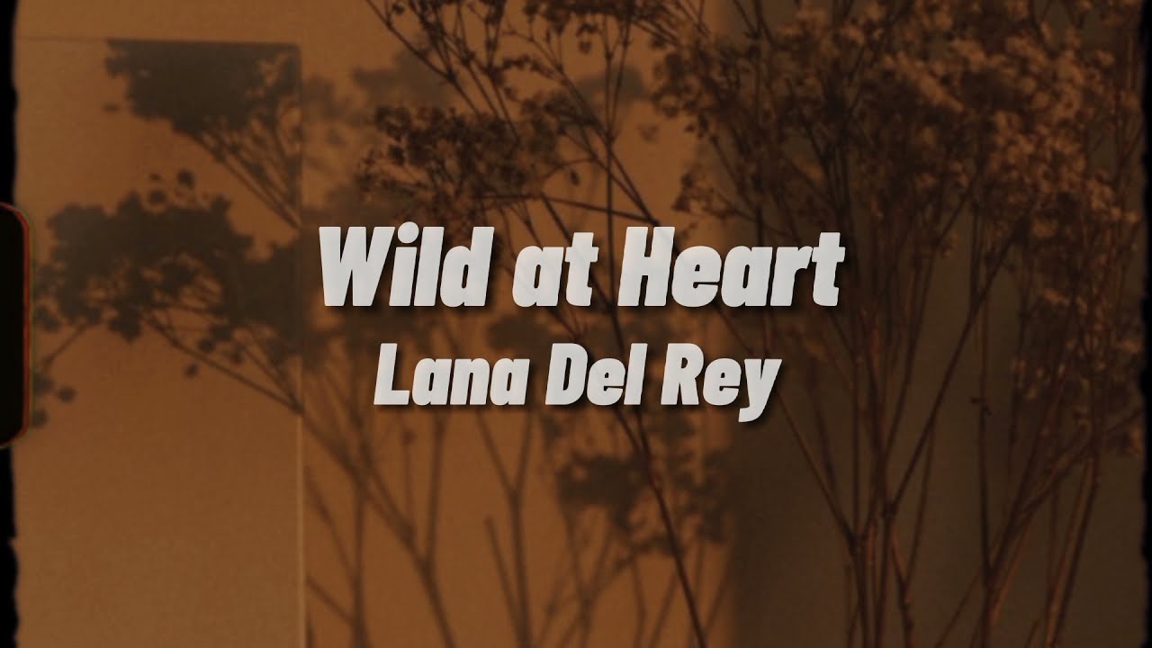 Lana Del Rey   Wild at Heart Lyrics
