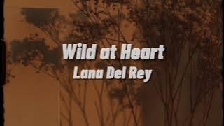 Lana Del Rey - Wild at Heart (Lyrics)