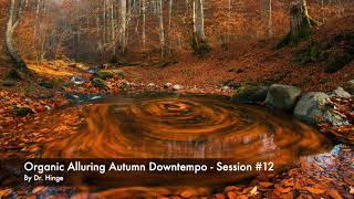 Organic Alluring Autumn Downtempo - Session #12 (Full version on SoundCloud)