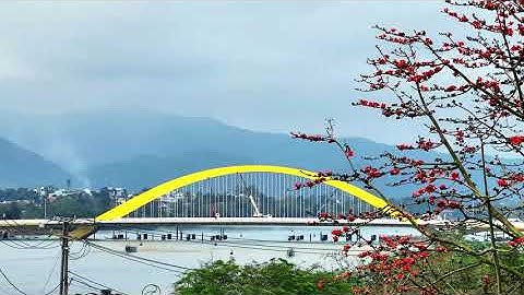 Rực rỡ màu hoa gạo tháng 3