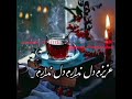 دشتی محلی با صدای مصطفی سیفی دشتی محلی با صدای مصطفی سیفی