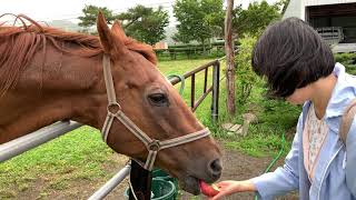 2019 07 01 IMG 2514 ダイワテキサス つつみ牧場
