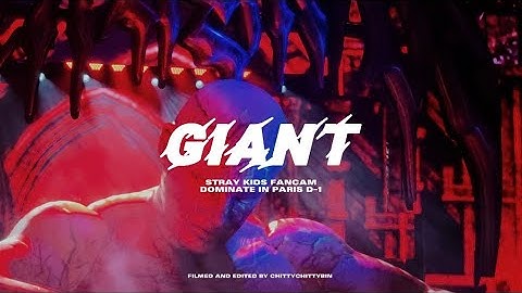 250726 DominATE in PARIS : Stray Kids GIANT Fancam