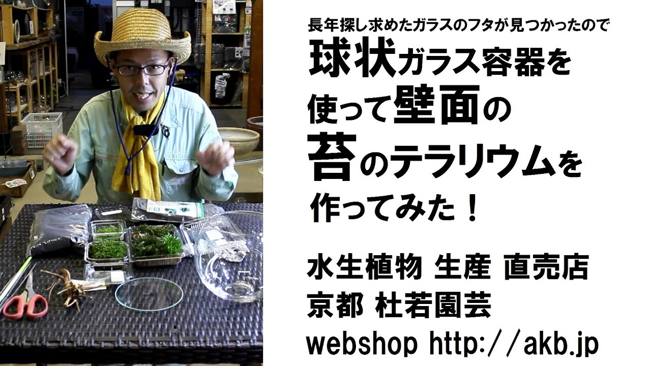 球状ガラス容器を使って壁面の苔のテラリウムを作ってみた Youtube